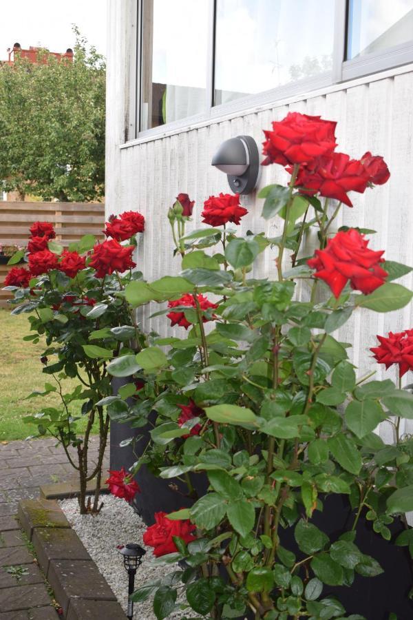Villa Enigma Halmstad Dış mekan fotoğraf