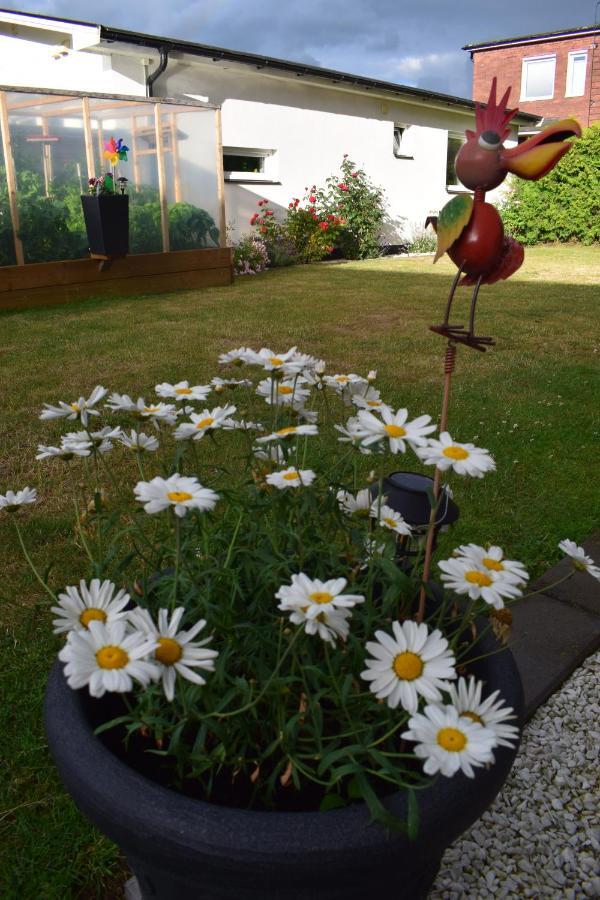 Villa Enigma Halmstad Dış mekan fotoğraf